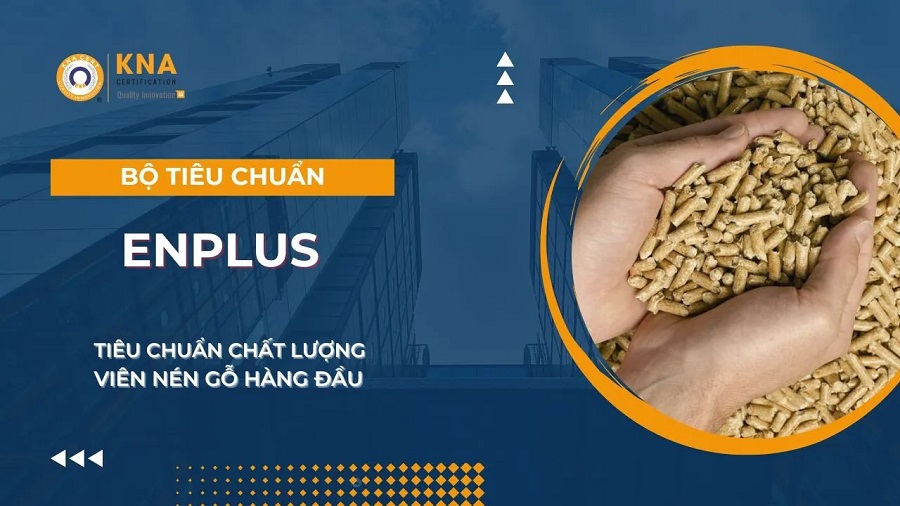Bộ Tiêu Chuẩn Enplus cho Viên nén gỗ I ISO ADMIN