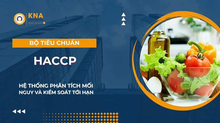 Bộ Tiêu Chuẩn HACCP - Hệ thống Kiểm soát Mối nguy và Điểm tới hạn I ISO ADMIN