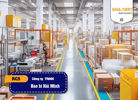 ISO ADMIN đánh giá RCS (Pre-audit) cho Công ty TNHH Bao bì Hải Minh