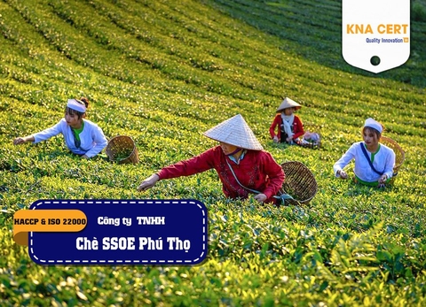 ISO ADMIN đánh giá HACCP & ISO 22000 (Pre-audit) cho Công ty TNHH Chè SSOE Phú Thọ