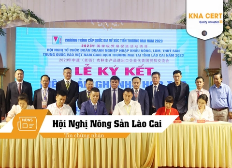 ISO ADMIN tham gia Hội nghị Tổ chức đoàn doanh nghiệp nhập khẩu Nông-Lâm-Thủy sản Trung Quốc và Việt Nam giao dịch thương mại tại tỉnh Lào Cai năm 2023